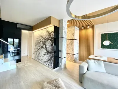 Studio Projektowania Wnętrz - Dorota Kot